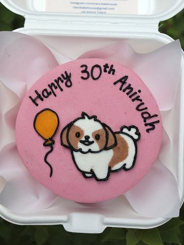 Claro Bakehouse dog-themed bento cake, Delhi